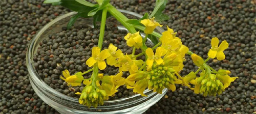 2eeb581ce60aac4d5e71d806ded83a90.jpg 2.jpg