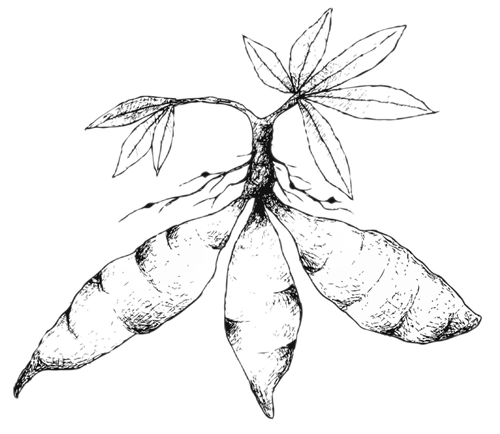 20eb15442d2a76698ac7354ae46fd1e4.png 1.png