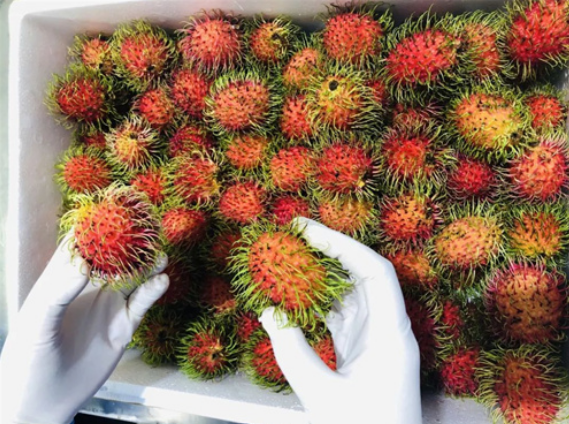 673a7b7fd3c5ca9bdadd40a1496c9e67.png 微信截图_20221130115757.png