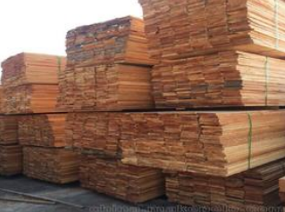 【进口案例】巴西桉木蛇口港进口报关清关 【进口案例】巴西桉木蛇口港进口报关清关