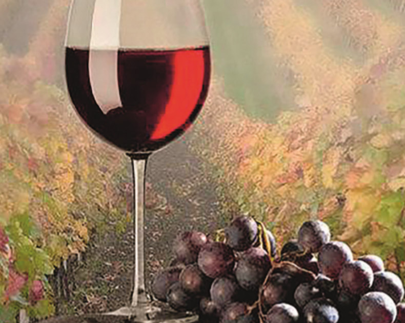 d031b44dd3aab5ca07873eae8963668e.png d031b44dd3aab5ca07873eae8963668e.png