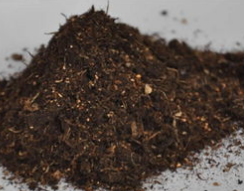 【进口案例】拉脱维亚泥炭土顺德勒流港进口报关清关 【进口案例】拉脱维亚泥炭土顺德勒流港进口报关清关