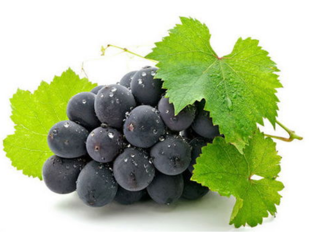 38fb83f1bc6ba650fecc787de7aa86d2.png 38fb83f1bc6ba650fecc787de7aa86d2.png