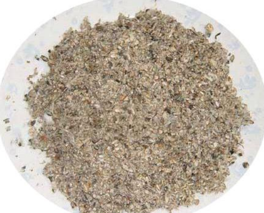 d23850b9ded1f9f5731ff7802a0b4cd2.png d23850b9ded1f9f5731ff7802a0b4cd2.png