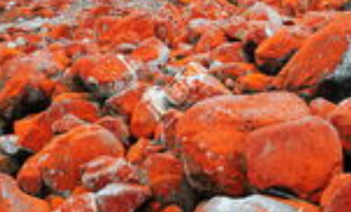 【进口案例】进口南非红石南沙港报关清关流程 【进口案例】进口南非红石南沙港报关清关流程