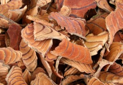 692f323095a4e0440daeea28f4191644.png 鸡血藤.png