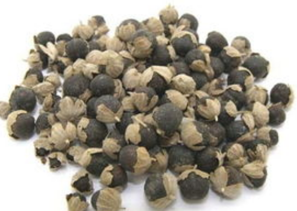 fb3e088d362fdad116601e68d110b9dd.png 蔓荆子.png