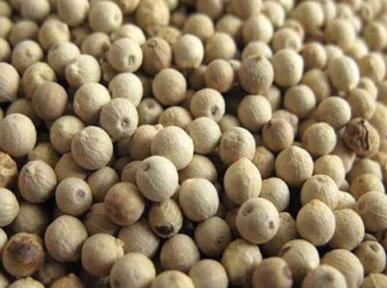 4efadaf45fcc6f0bb2ee6400c9be6e64.png 胡椒.png