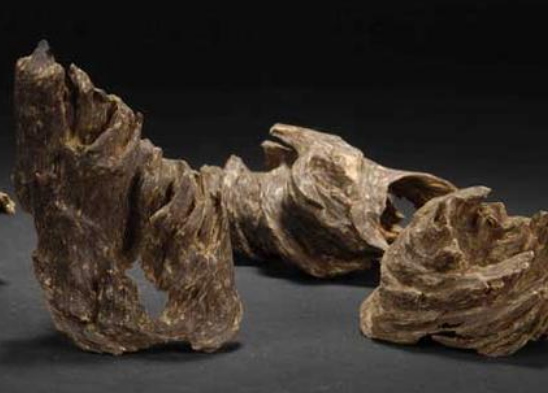 63683ff3022a9416f827325433aecdda.png 沉香.png