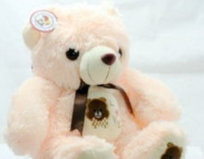 ade118fd6d2dd2b35d2bfc4bad2eeea7.png 毛绒公仔.png