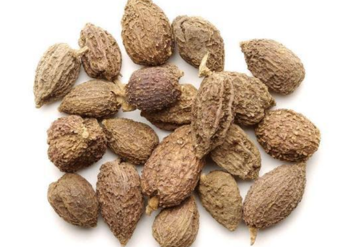 e527b865c37e022c562ba050945321dd.png e527b865c37e022c562ba050945321dd.png