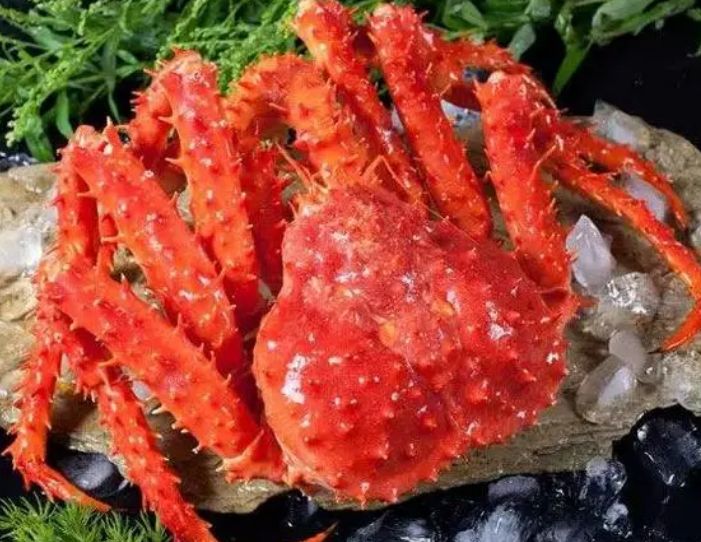 f91860043bcf0910ff6aac191ebba122.png f91860043bcf0910ff6aac191ebba122.png