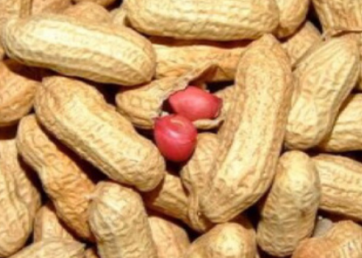 2aaefc07176770c290e8e8b394d412bf.png 花生.png