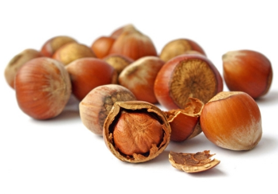 41e3fa9c50c8c8b2e1190eea1fed4155.png 榛子.png