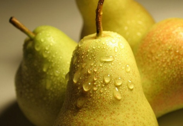 47c447879780cb1beb3f7345dfcd966a.png 梨.png