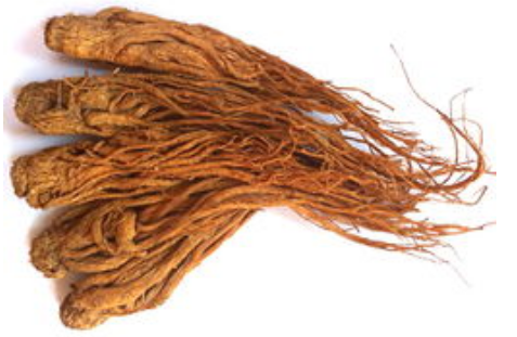 95167b55d5628c323443aabb0cd210df.png 当归.png