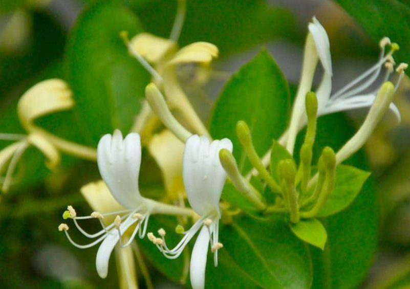 a8749a47df961c1596292acf8e592e6b.png a8749a47df961c1596292acf8e592e6b.png