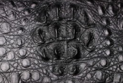 b6c1f2392915eeb9b7d587e34d673819.png 鳄鱼皮.png