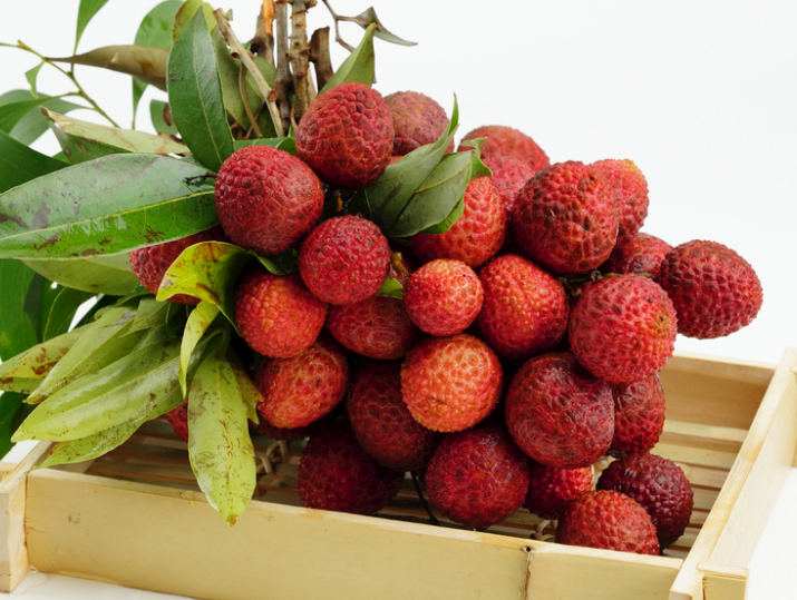 a50138ec1825984ee3de6f04f1e0fb6b.png a50138ec1825984ee3de6f04f1e0fb6b.png