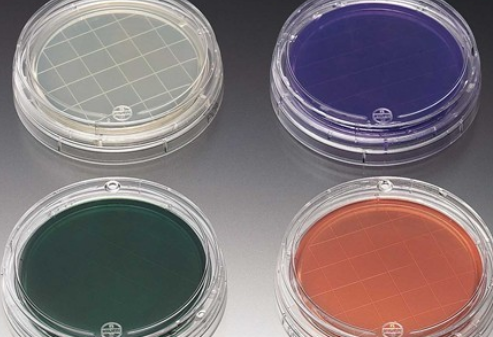 a434a55450fee88514981d7d65966d2f.png 选择性培养基.png