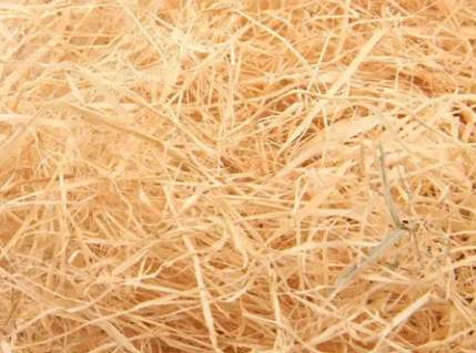 5e2874cbb9f770f9e30a567f1f321c65.png 拉菲草.png