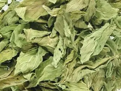 68abb654560ba57050709f55f5728026.png 干薄荷叶.png