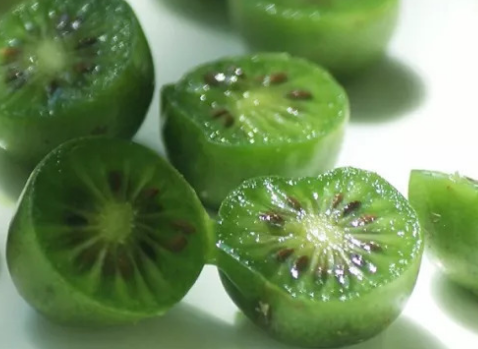 c4e9c56cb0689d8902031eeff7a00c18.png 奇异莓.png