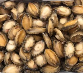 【食品进口】海参、鲍鱼等海味干货报关指南 【食品进口】海参、鲍鱼等海味干货报关指南