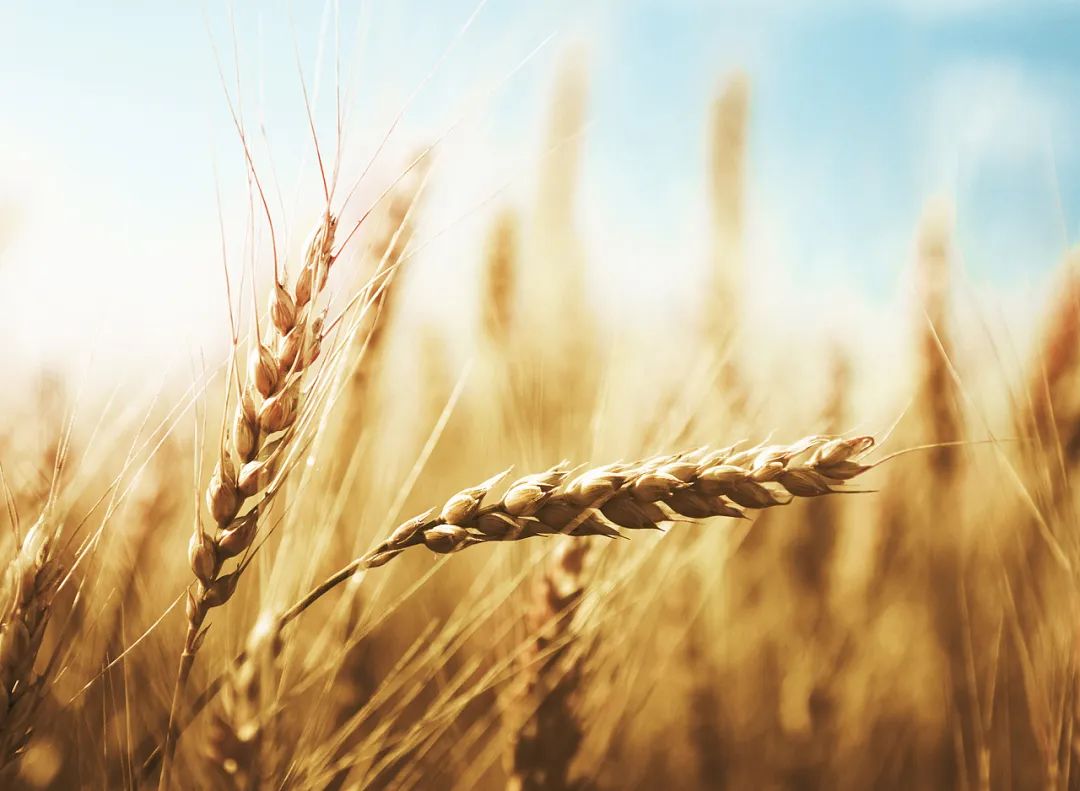 faf79d86789c93f18dd7ad65b6b5ec94.jpg 封面.jpg