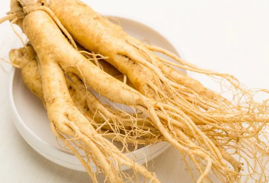 37b2c0bad36e0b21881b186393f2c9c4.png 人参.png