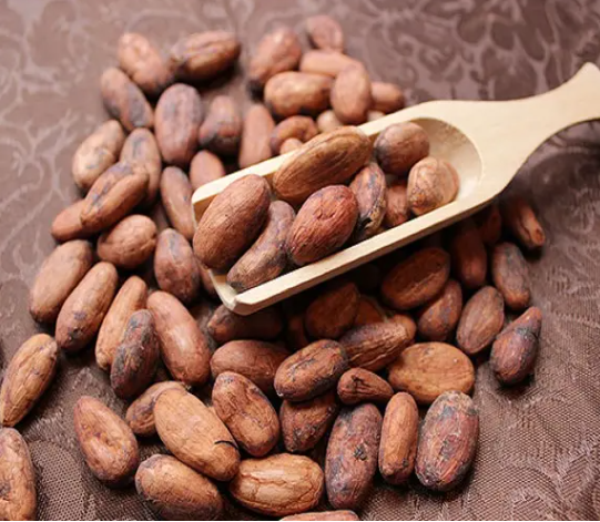 政策解读丨进口巴布亚新几内亚咖啡豆、可可豆植物检疫要求 政策解读丨进口巴布亚新几内亚咖啡豆、可可豆植物检疫要求