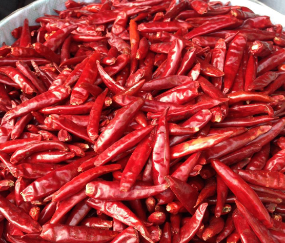 政策解读|海关总署关于进口埃及干辣椒植物检疫要求的公告 政策解读|海关总署关于进口埃及干辣椒植物检疫要求的公告