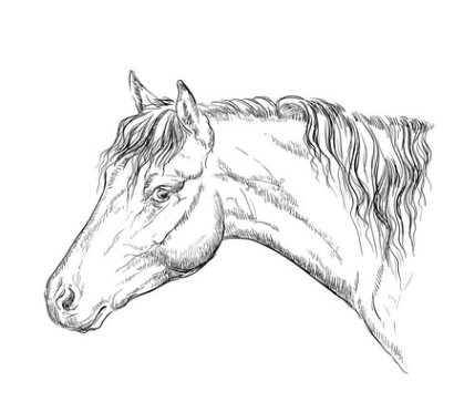 一般的手绘画进口流程是什么? 一般的手绘画进口流程是什么?