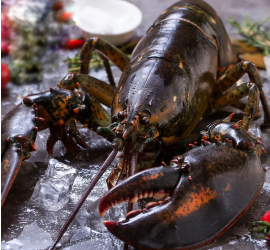 解读 |海关总署关于进口波兰野生水产品卫生要求的公告 解读 |海关总署关于进口波兰野生水产品卫生要求的公告