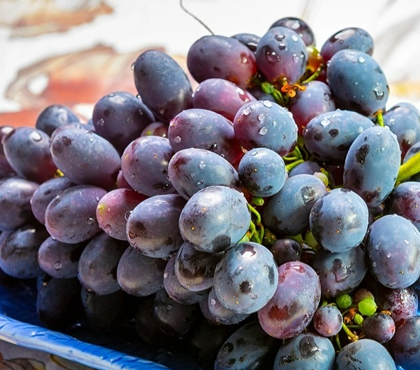 植物检疫政策知多少丨进口秘鲁鲜食葡萄植物检疫要求解读 植物检疫政策知多少丨进口秘鲁鲜食葡萄植物检疫要求解读