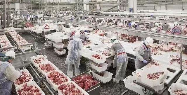 1e9d12086e8b0541102130824ca3e591.jpg 5.jpg