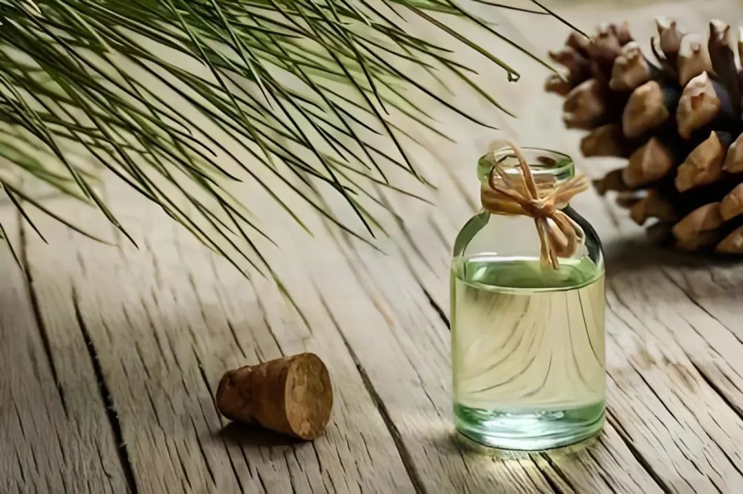 ab592f435a2f4d9d2ab94cc8e335690d.jpg 松油2.jpg