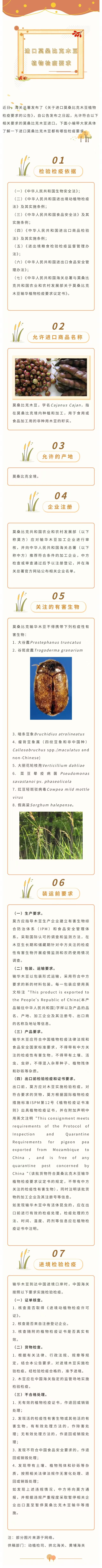 245271b58bc2df181a670c69f8eaa622.jpg 木豆.jpg