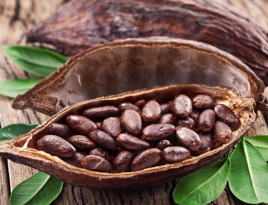 【政策解读】进口圣多美和普林西比可可豆植物检疫要求 【政策解读】进口圣多美和普林西比可可豆植物检疫要求