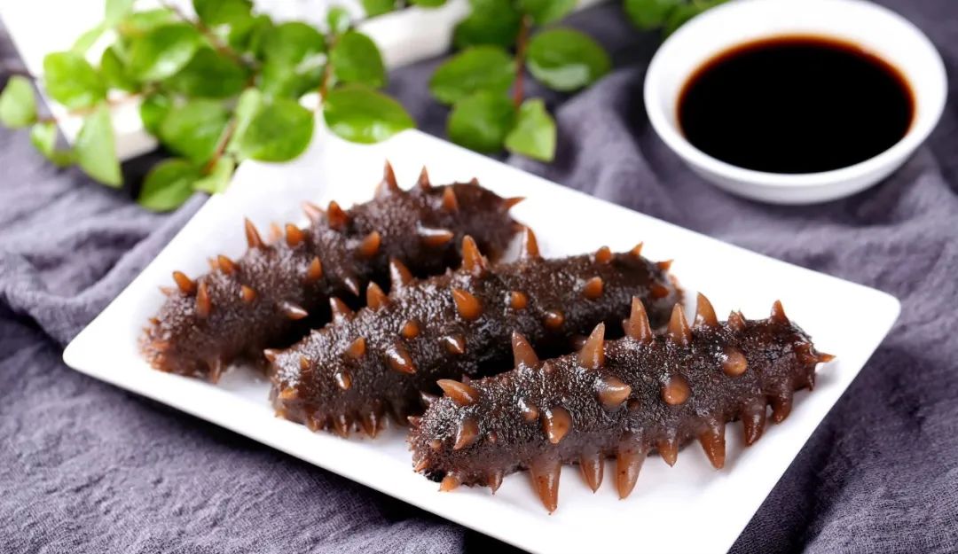 f8131891c445f7b0ad4aa16e305d0add.jpg 海参.jpg