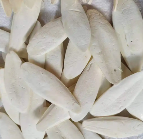 c36107711247bc81ed61f70b0702b240.jpg 鱼骨.jpg