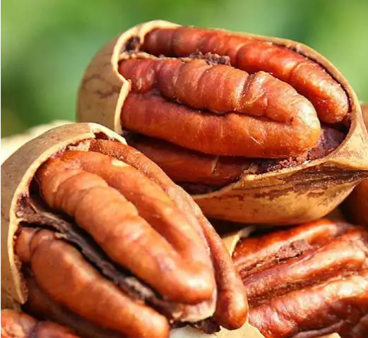 政策解读丨关于秘鲁碧根果输华检验检疫要求的公告 政策解读丨关于秘鲁碧根果输华检验检疫要求的公告