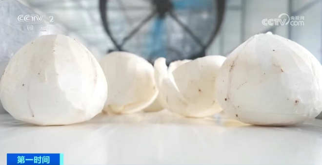 【进口新闻】我国首次进口!它,来了! 【进口新闻】我国首次进口!它,来了!