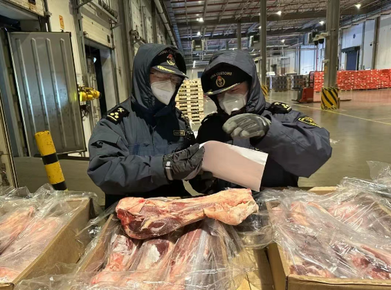 bdce11d4f3daaa9992e0c7e4f6b98cf5.png 肉2.png