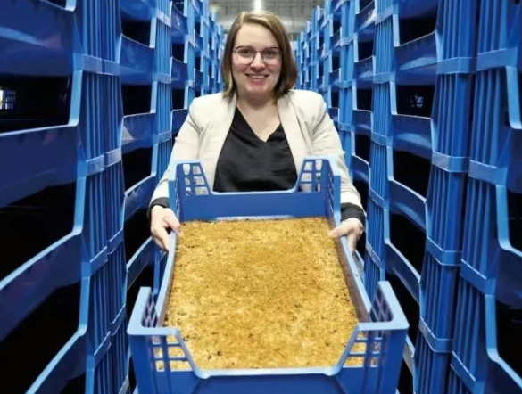 e900bf0ed1d054bff0525b211ecbd21a.jpg 面包1.jpg