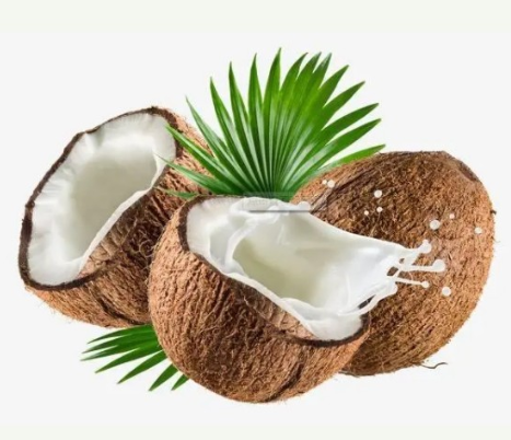 解读 | 马来西亚鲜食椰子输华植物检疫要求 解读 | 马来西亚鲜食椰子输华植物检疫要求