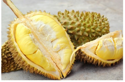 政策解读 | 海关总署关于进口柬埔寨榴莲植物检疫要求的公告 政策解读 | 海关总署关于进口柬埔寨榴莲植物检疫要求的公告