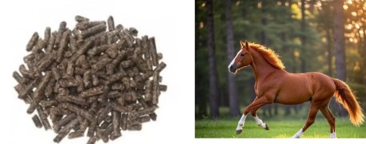 政策解读-海关总署关于进口丹麦马饲料检疫和卫生要求的公告 政策解读-海关总署关于进口丹麦马饲料检疫和卫生要求的公告