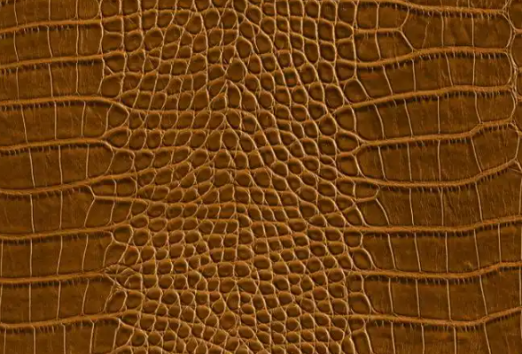 【进口知识】鳄鱼皮进口清关需要注意什么? 【进口知识】鳄鱼皮进口清关需要注意什么?