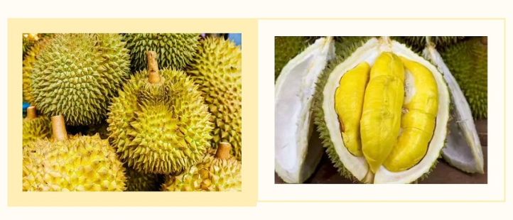 政策解读 | 海关总署关于进口老挝鲜食榴莲植物检疫要求的公告 政策解读 | 海关总署关于进口老挝鲜食榴莲植物检疫要求的公告